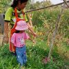 โครงการถังขยะเปียกลดโลกร้อน